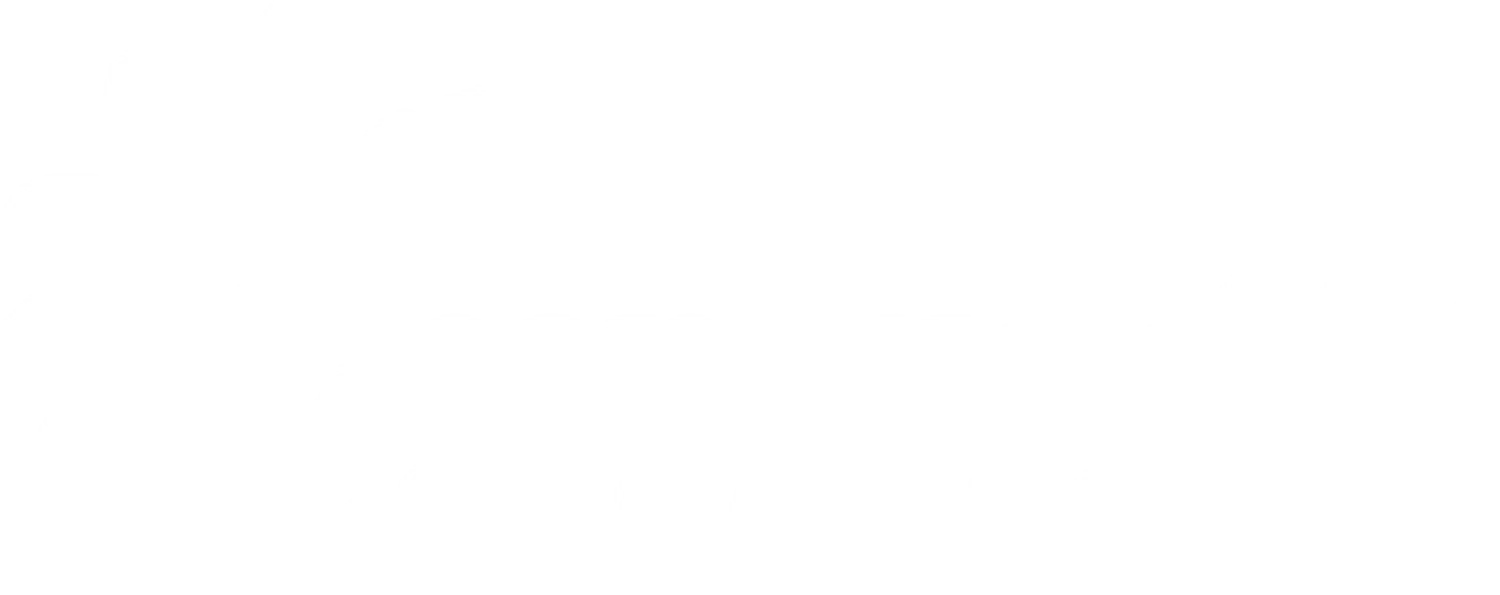 Cleanfuels NY logo white