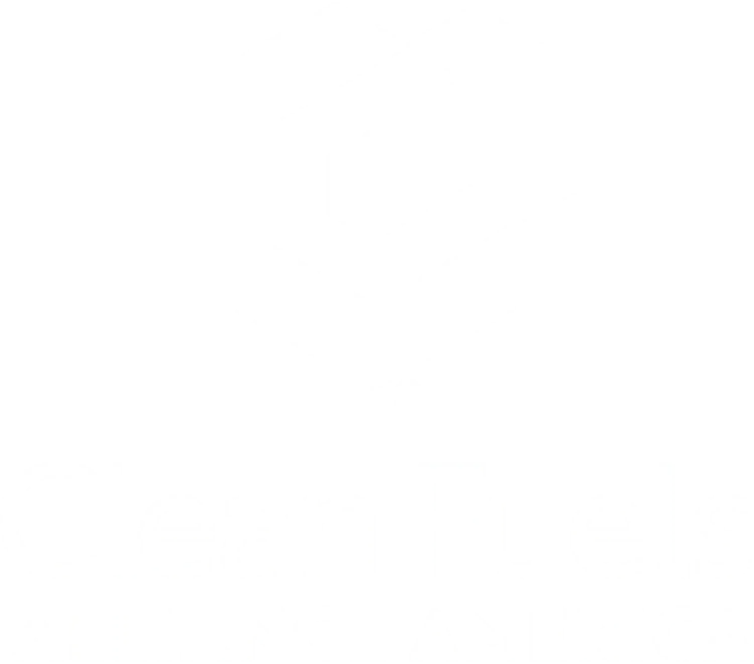 CFAA Logo Vertical White 300x264